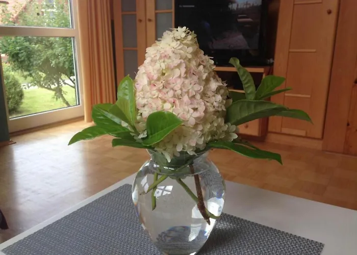 Feriehus Gut Dueneburg *